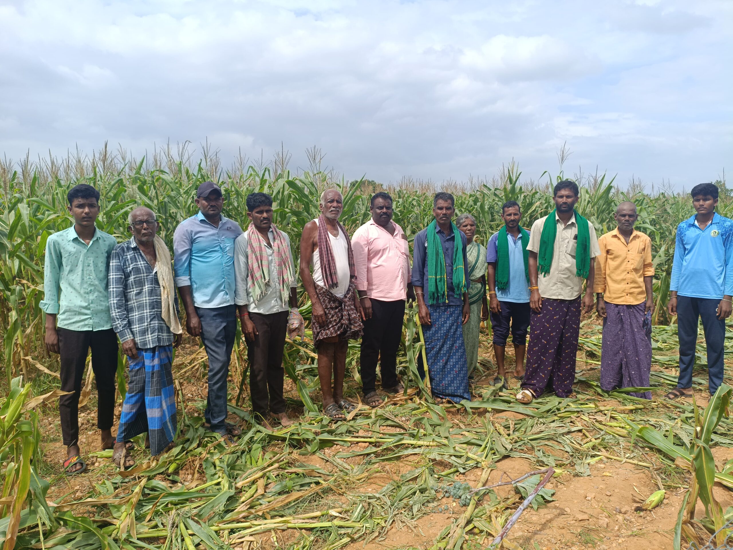 Hanur - Farmers demand compensation for crop destruction due to forest attack